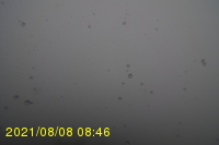 Img20210808_084631.jpg