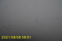 Img20210808_085131.jpg