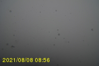 Img20210808_085631.jpg