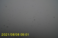 Img20210808_090131.jpg