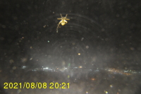 Img20210808_202134.jpg