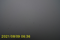 Img20210809_063636.jpg