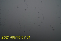 Img20210810_073142.jpg