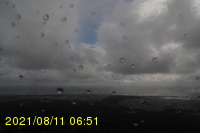 Img20210811_065147.jpg