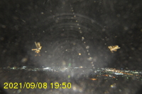 Img20210908_195021.jpg