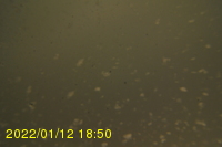 Img20220112_185045.jpg