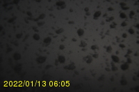 Img20220113_060546.jpg