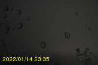 Img20220114_233552.jpg