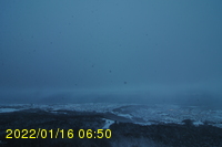 Img20220116_065055.jpg