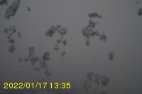 Img20220117_133558.jpg