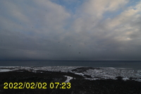 Img20220202_072357.jpg
