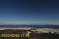 Img20220202_110908.jpg