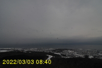 Img20220303_084031.jpg