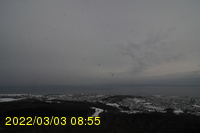 Img20220303_085531.jpg