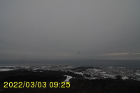 Img20220303_092531.jpg