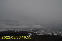 Img20220303_105531.jpg