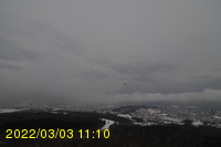 Img20220303_111031.jpg