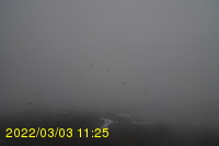 Img20220303_112531.jpg