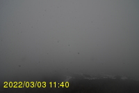 Img20220303_114031.jpg