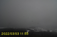 Img20220303_115531.jpg