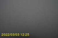 Img20220303_122531.jpg
