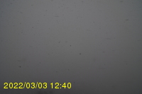 Img20220303_124031.jpg