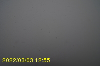 Img20220303_125531.jpg