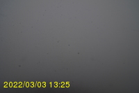 Img20220303_132531.jpg