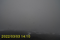 Img20220303_141031.jpg