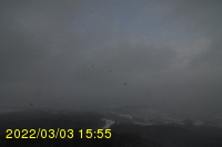 Img20220303_155532.jpg