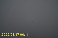 Img20220317_061119.jpg