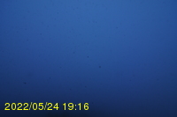 Img20220524_191641.jpg