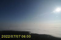 Img20220707_060008.jpg