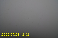 Img20220728_120235.jpg