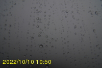 Img20221010_105005.jpg