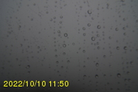 Img20221010_115005.jpg