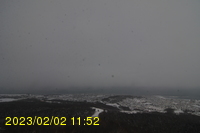 Img20230202_115234.jpg