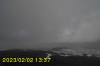 Img20230202_133735.jpg