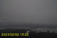 Img20230202_152235.jpg