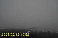Img20230212_105257.jpg