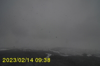 Img20230214_093801.jpg