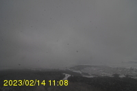 Img20230214_110801.jpg