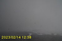Img20230214_123801.jpg