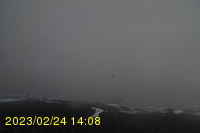 Img20230224_140823.jpg