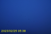 Img20230225_053824.jpg