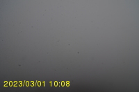 Img20230301_100835.jpg