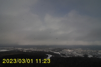 Img20230301_112335.jpg