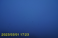 Img20230301_172336.jpg