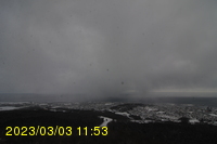 Img20230303_115340.jpg
