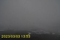 Img20230303_135341.jpg
